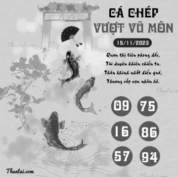 CÁ CHÉP VƯỢT VŨ MÔN 15/11/2023