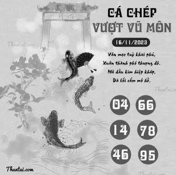 CÁ CHÉP VƯỢT VŨ MÔN 16/11/2023