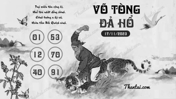 VÕ TÒNG ĐẢ HỔ 17/11/2023