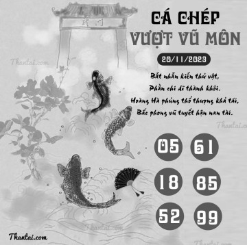 CÁ CHÉP VƯỢT VŨ MÔN 20/11/2023