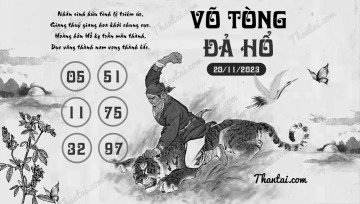 VÕ TÒNG ĐẢ HỔ 20/11/2023