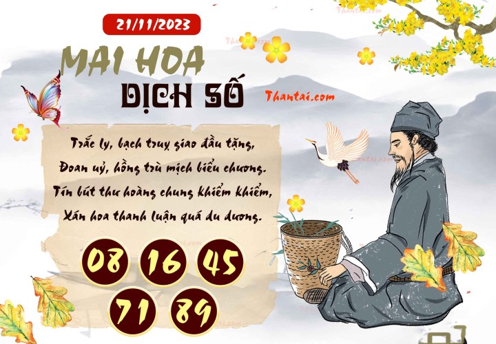 Mai Hoa Dịch Số 06/11/2023