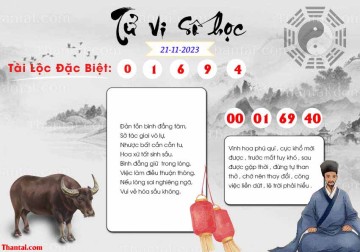 TỬ VI SỐ HỌC 21/11/2023