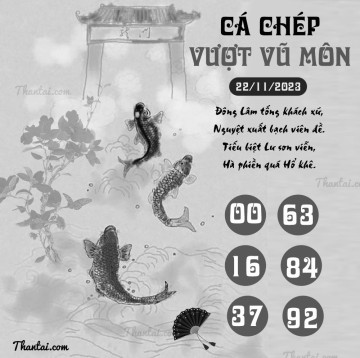 CÁ CHÉP VƯỢT VŨ MÔN 22/11/2023