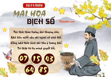 Mai Hoa Dịch Số 23/11/2023