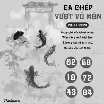 CÁ CHÉP VƯỢT VŨ MÔN 23/11/2023