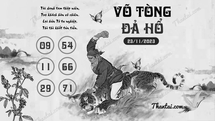 VÕ TÒNG ĐẢ HỔ 08/11/2023