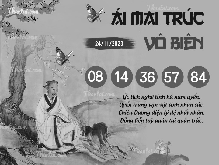 ÁI MAI TRÚC VÔ BIÊN 09/11/2023
