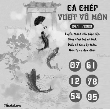 CÁ CHÉP VƯỢT VŨ MÔN 24/11/2023