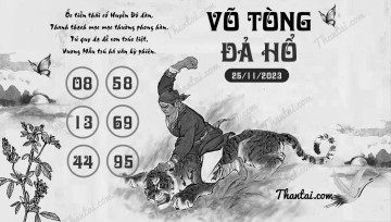 VÕ TÒNG ĐẢ HỔ 25/11/2023