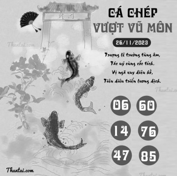 CÁ CHÉP VƯỢT VŨ MÔN 26/11/2023