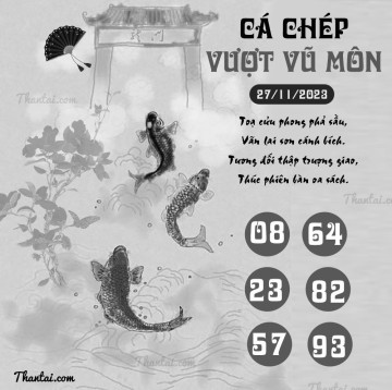 CÁ CHÉP VƯỢT VŨ MÔN 27/11/2023