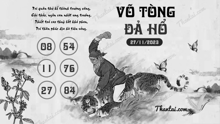 VÕ TÒNG ĐẢ HỔ 12/11/2023