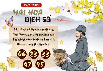 Mai Hoa Dịch Số 28/11/2023