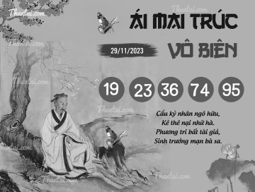 ÁI MAI TRÚC VÔ BIÊN 29/11/2023