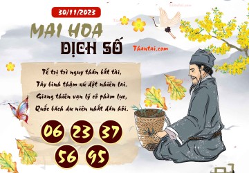 Mai Hoa Dịch Số 30/11/2023