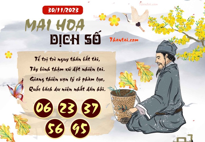 Mai Hoa Dịch Số 15/11/2023