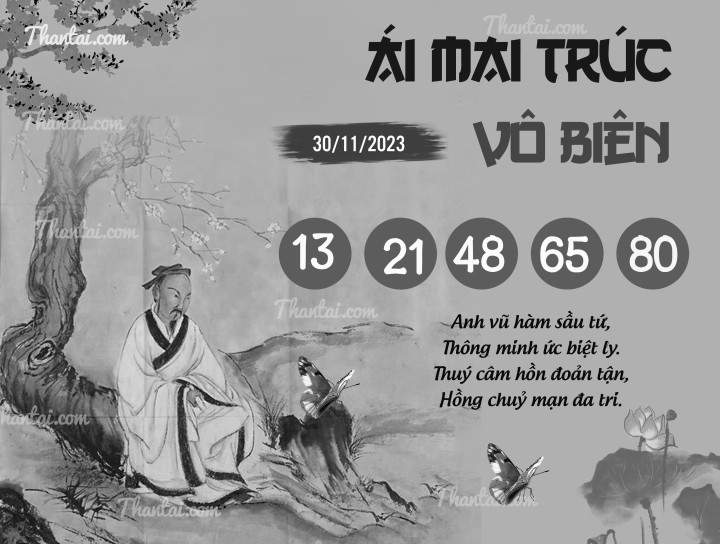 ÁI MAI TRÚC VÔ BIÊN 15/11/2023