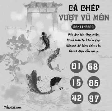 CÁ CHÉP VƯỢT VŨ MÔN 30/11/2023