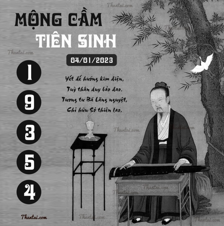 MỘNG CẦM TIÊN SINH 01/01/2023