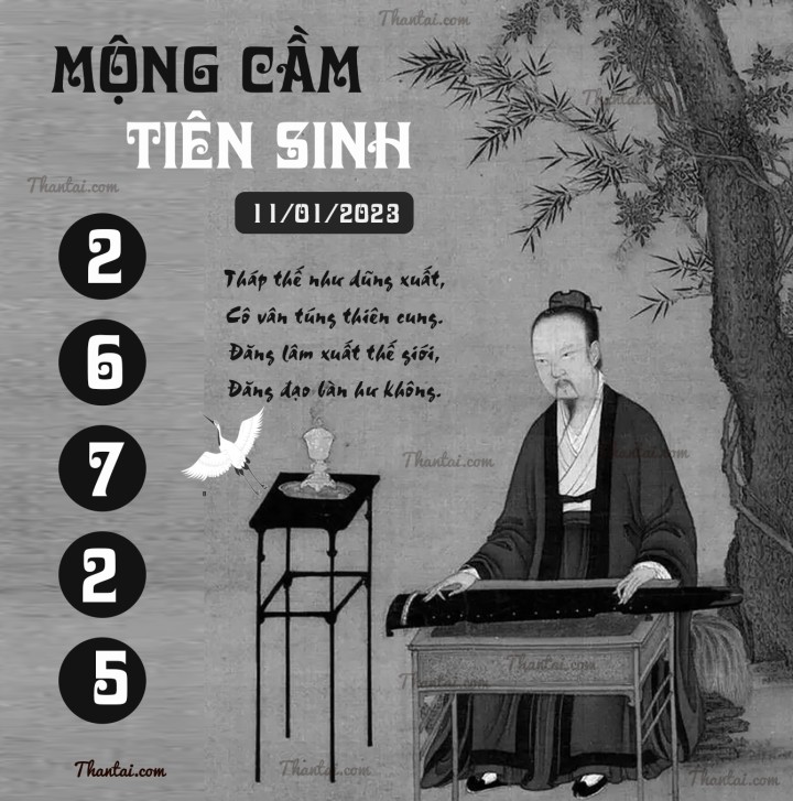 MỘNG CẦM TIÊN SINH 01/01/2023