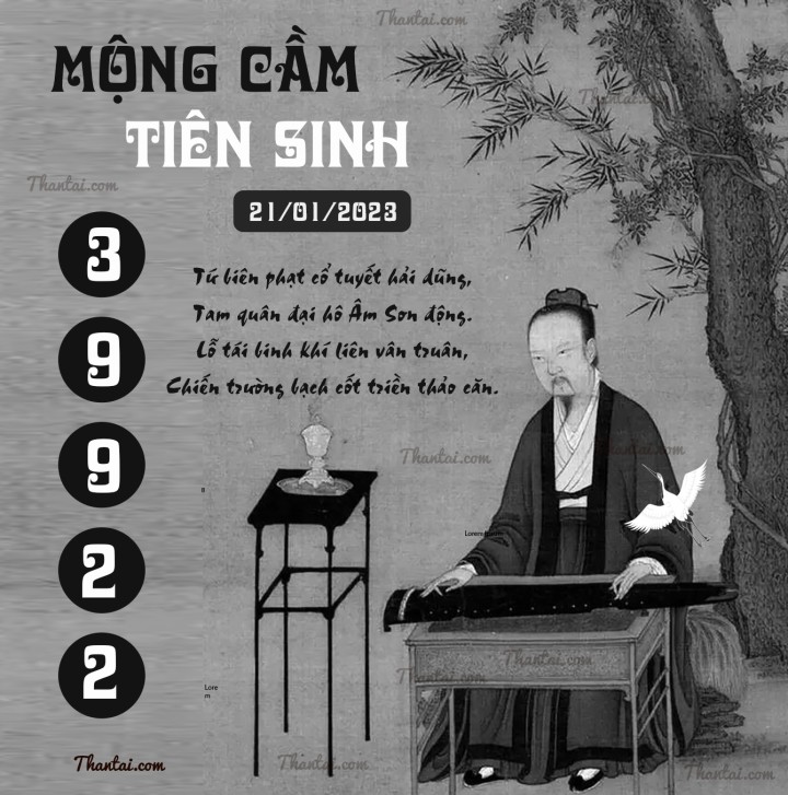MỘNG CẦM TIÊN SINH 06/01/2023