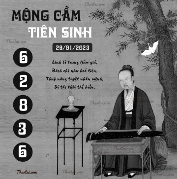 MỘNG CẦM TIÊN SINH 29/01/2023