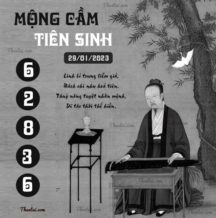 MỘNG CẦM TIÊN SINH 14/01/2023