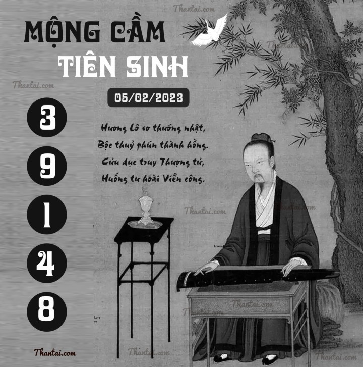 MỘNG CẦM TIÊN SINH 21/01/2023