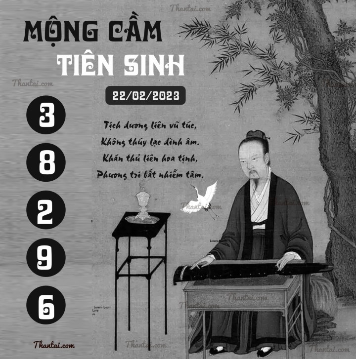 MỘNG CẦM TIÊN SINH 07/02/2023