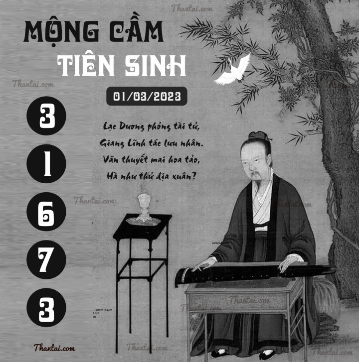MỘNG CẦM TIÊN SINH 14/02/2023