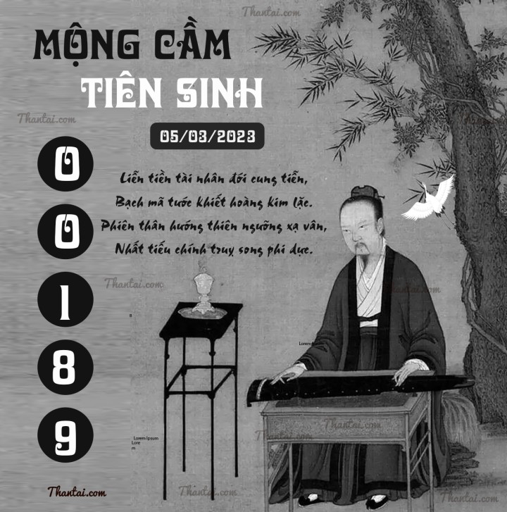 MỘNG CẦM TIÊN SINH 18/02/2023