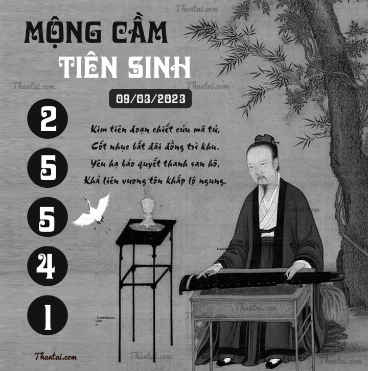 MỘNG CẦM TIÊN SINH 22/02/2023