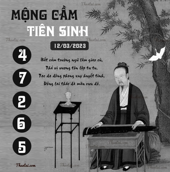 MỘNG CẦM TIÊN SINH 25/02/2023