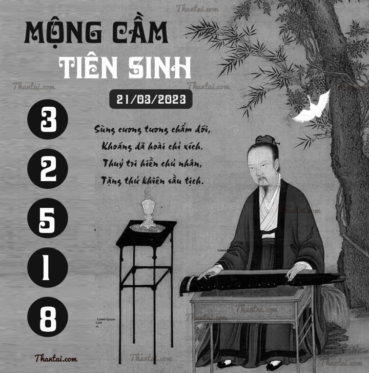 MỘNG CẦM TIÊN SINH 06/03/2023