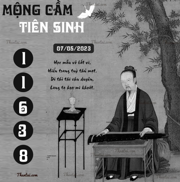 MỘNG CẦM TIÊN SINH 22/04/2023
