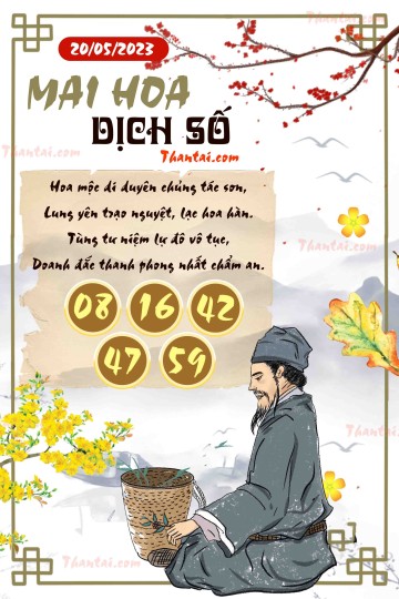 Mai Hoa Dịch Số 20/05/2023