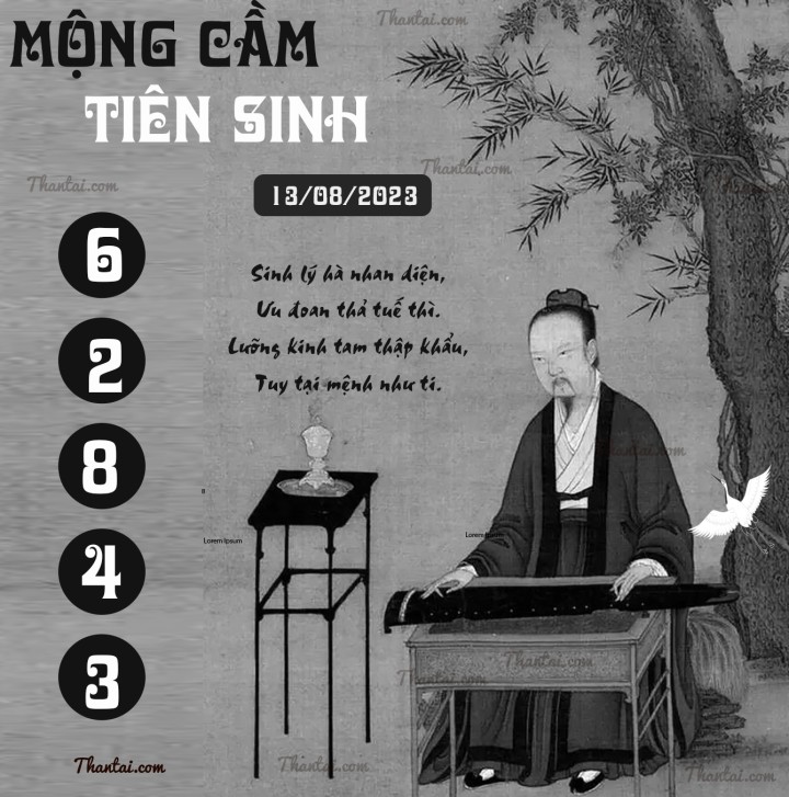MỘNG CẦM TIÊN SINH 29/07/2023