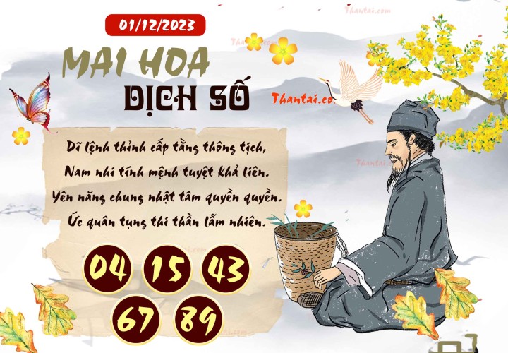 Mai Hoa Dịch Số 16/11/2023