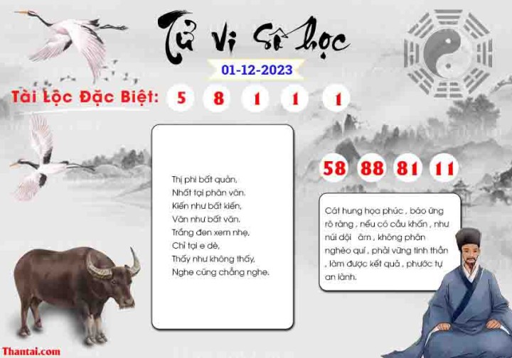 TỬ VI SỐ HỌC 16/11/2023