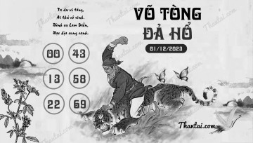 VÕ TÒNG ĐẢ HỔ 01/12/2023