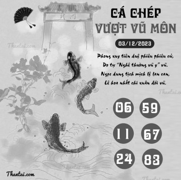 CÁ CHÉP VƯỢT VŨ MÔN 03/12/2023