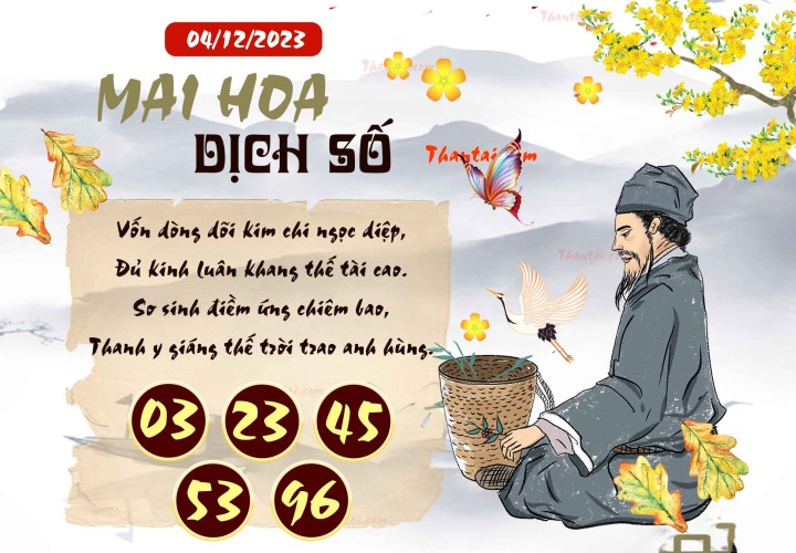 Mai Hoa Dịch Số 19/11/2023