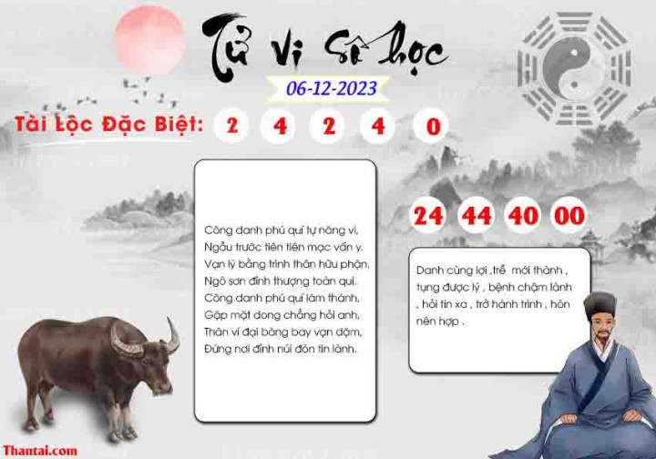 TỬ VI SỐ HỌC 21/11/2023