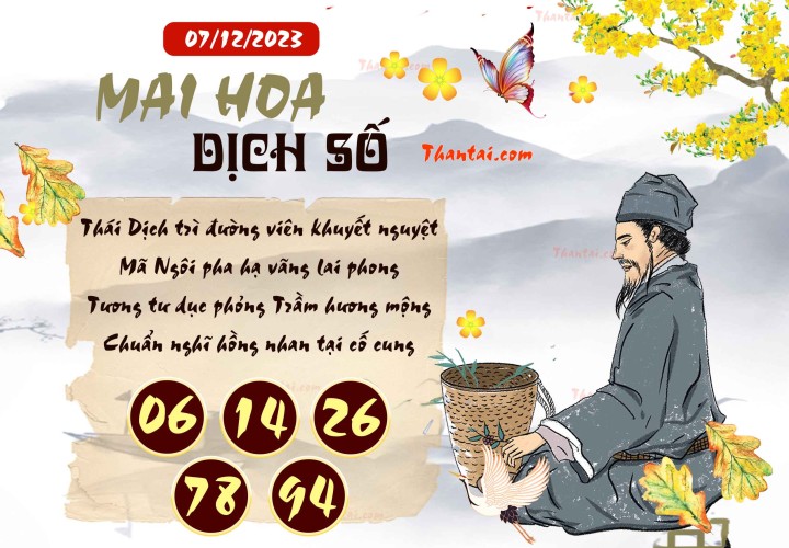 Mai Hoa Dịch Số 22/11/2023