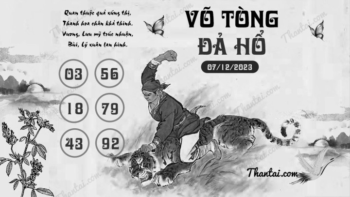 VÕ TÒNG ĐẢ HỔ 22/11/2023