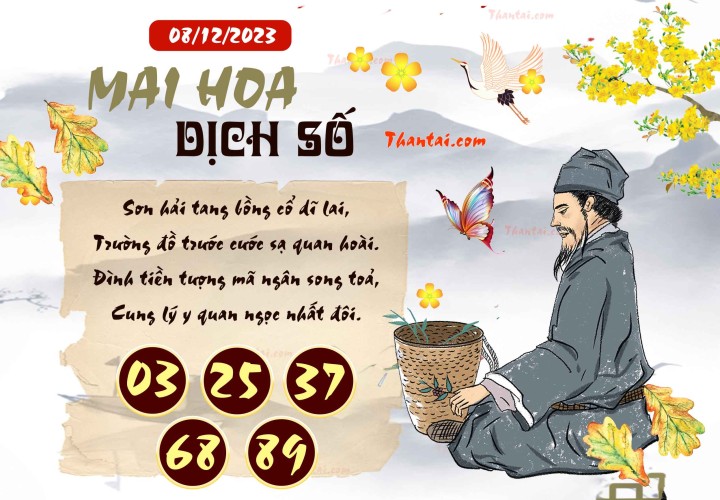 Mai Hoa Dịch Số 23/11/2023