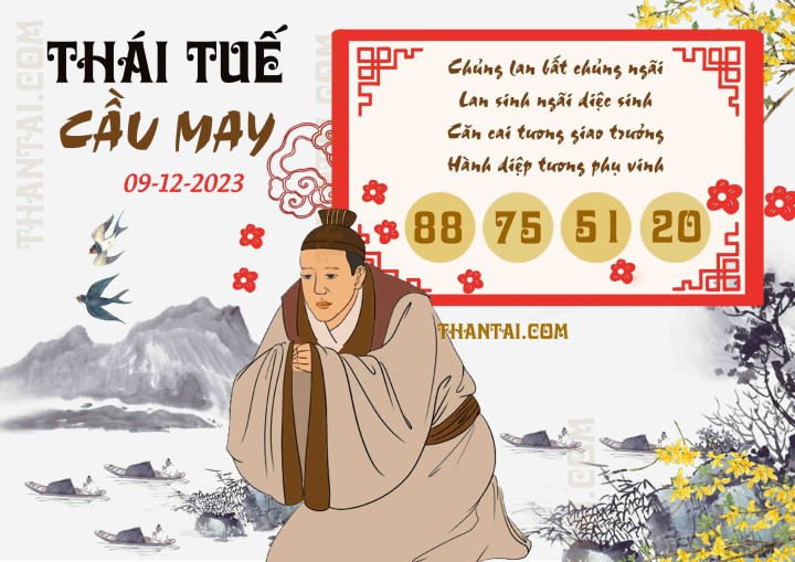 Thái Tuế Cầu May 24/11/2023