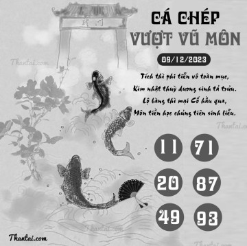 CÁ CHÉP VƯỢT VŨ MÔN 09/12/2023