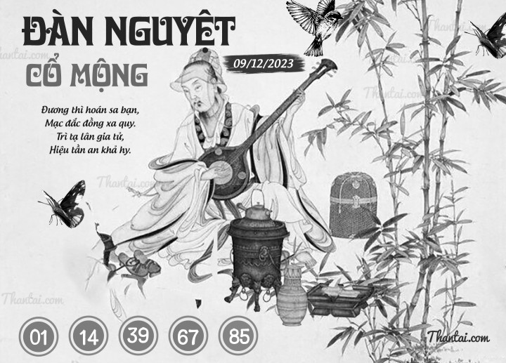 ĐÀN NGUYỆT CỔ MỘNG 24/11/2023